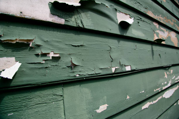 Best Weatherproofing and Sealing  in Saks, AL