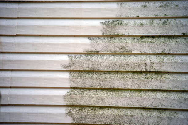 Best James Hardie Siding  in Saks, AL